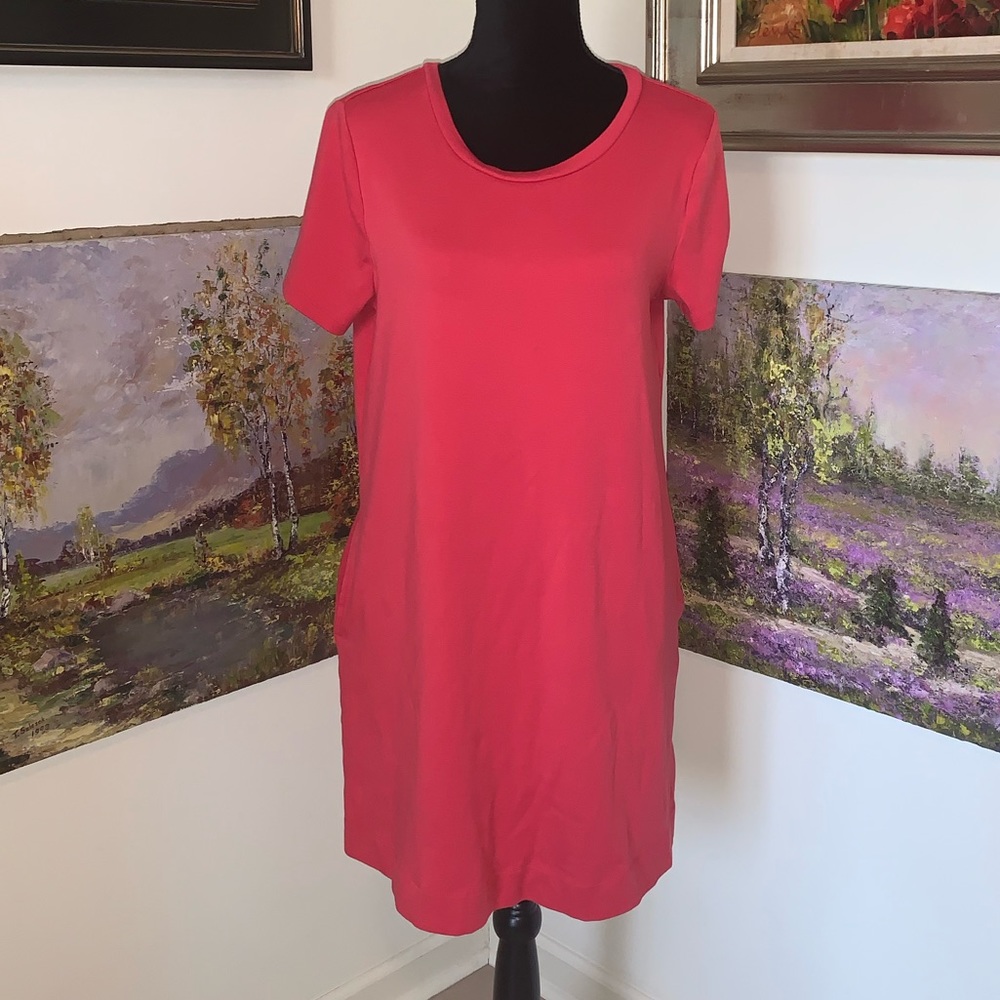 🐠 ELLEN TRACY dress size L